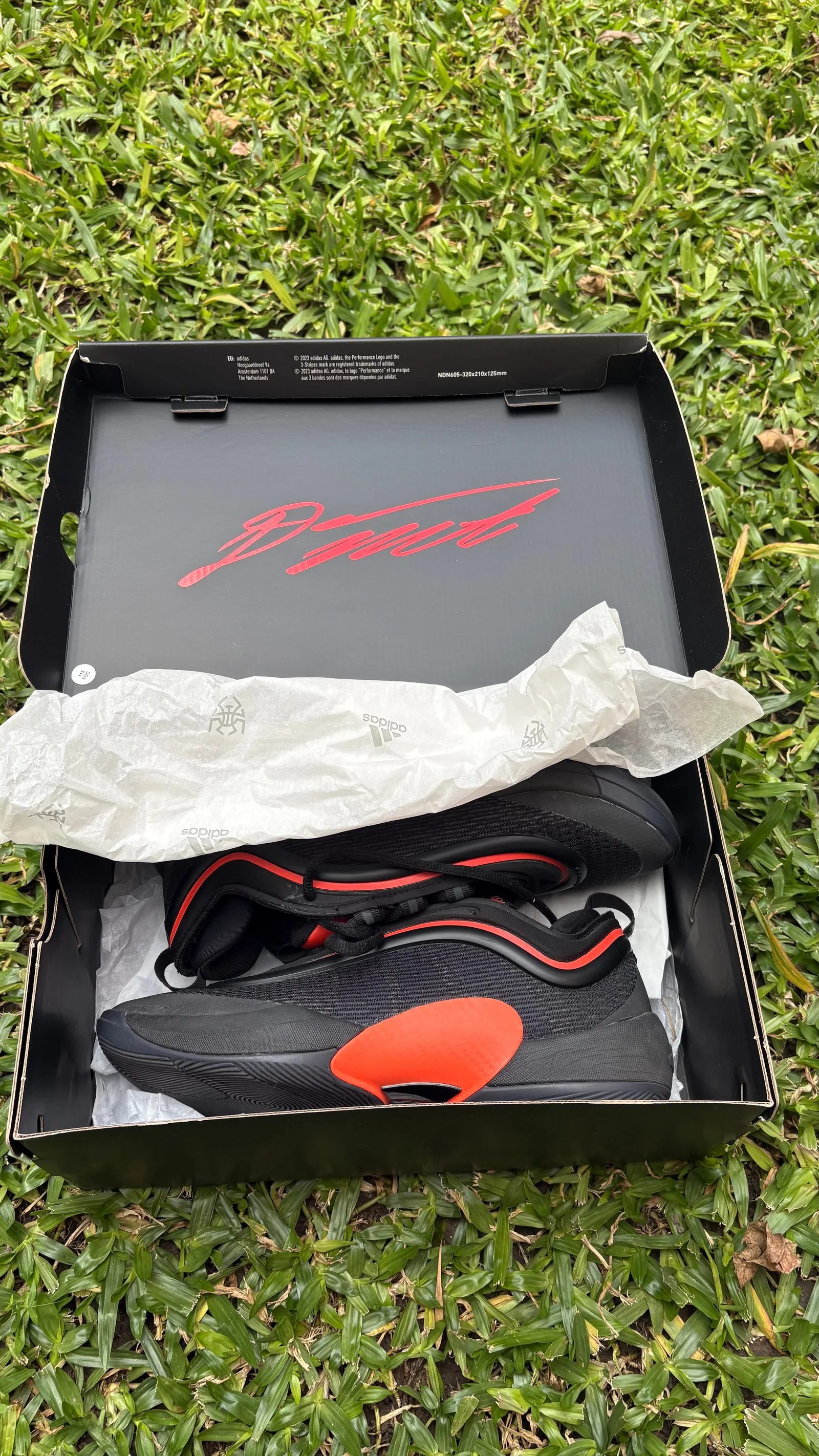 Adidas D.O.N. Issue 6 dentro de su caja original