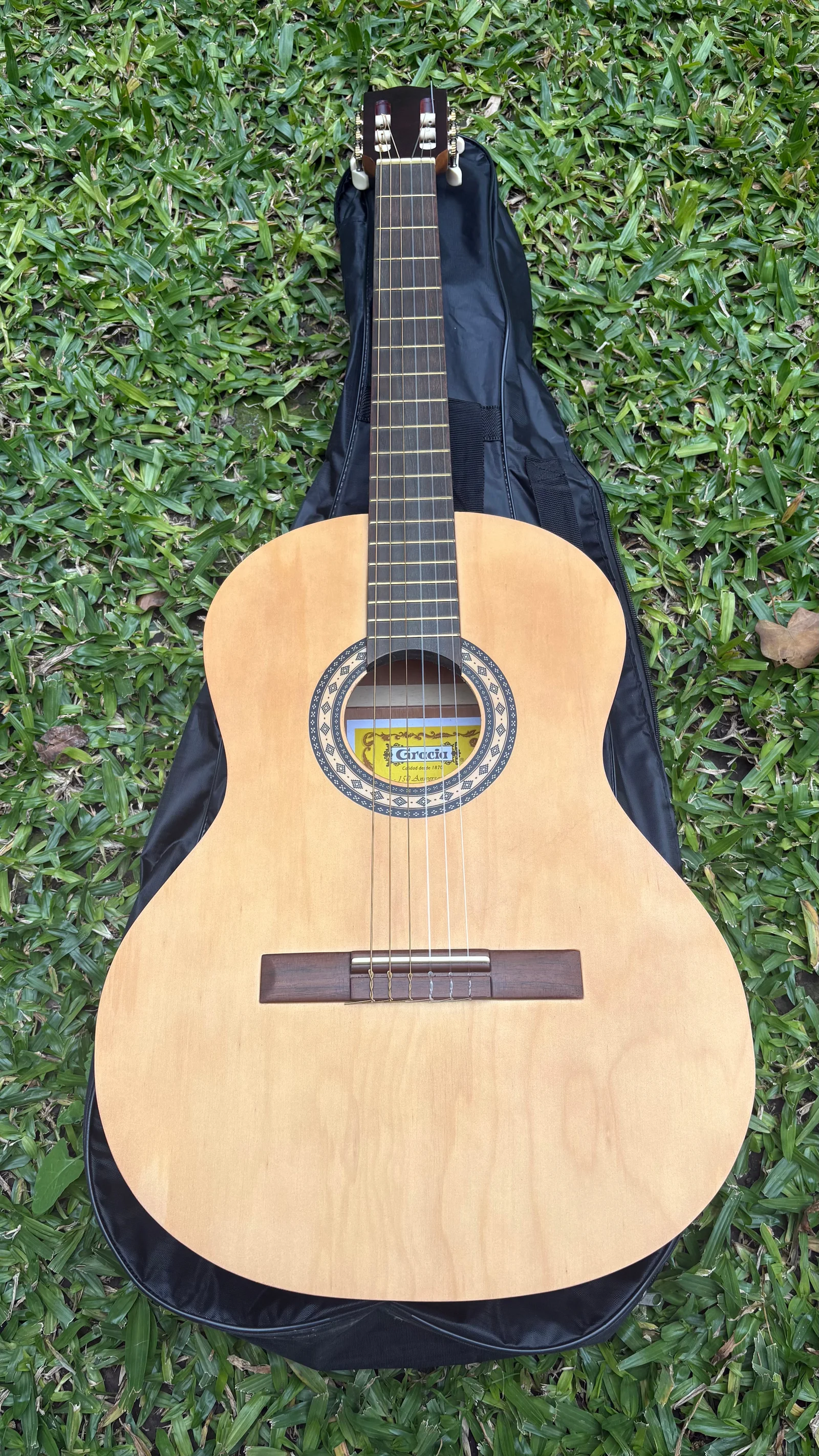 Guitarra criolla vista de frente sobre su funda negra en el pasto
